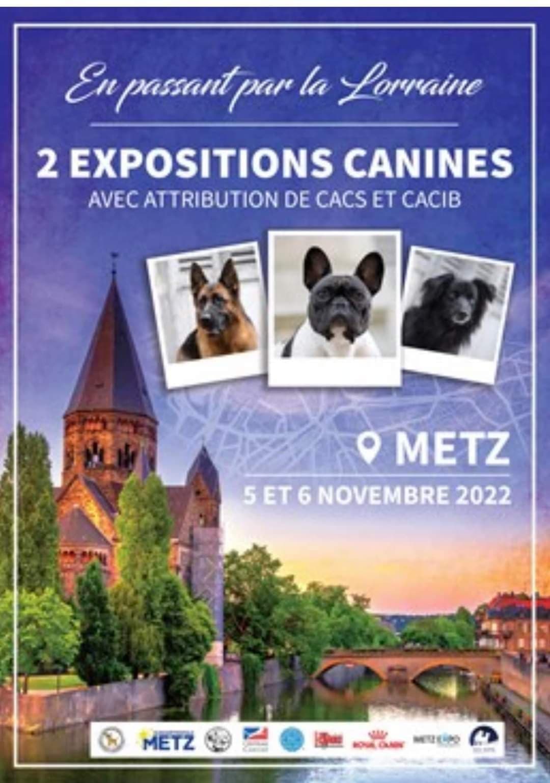 Exposition Canine Nationale et Internationale