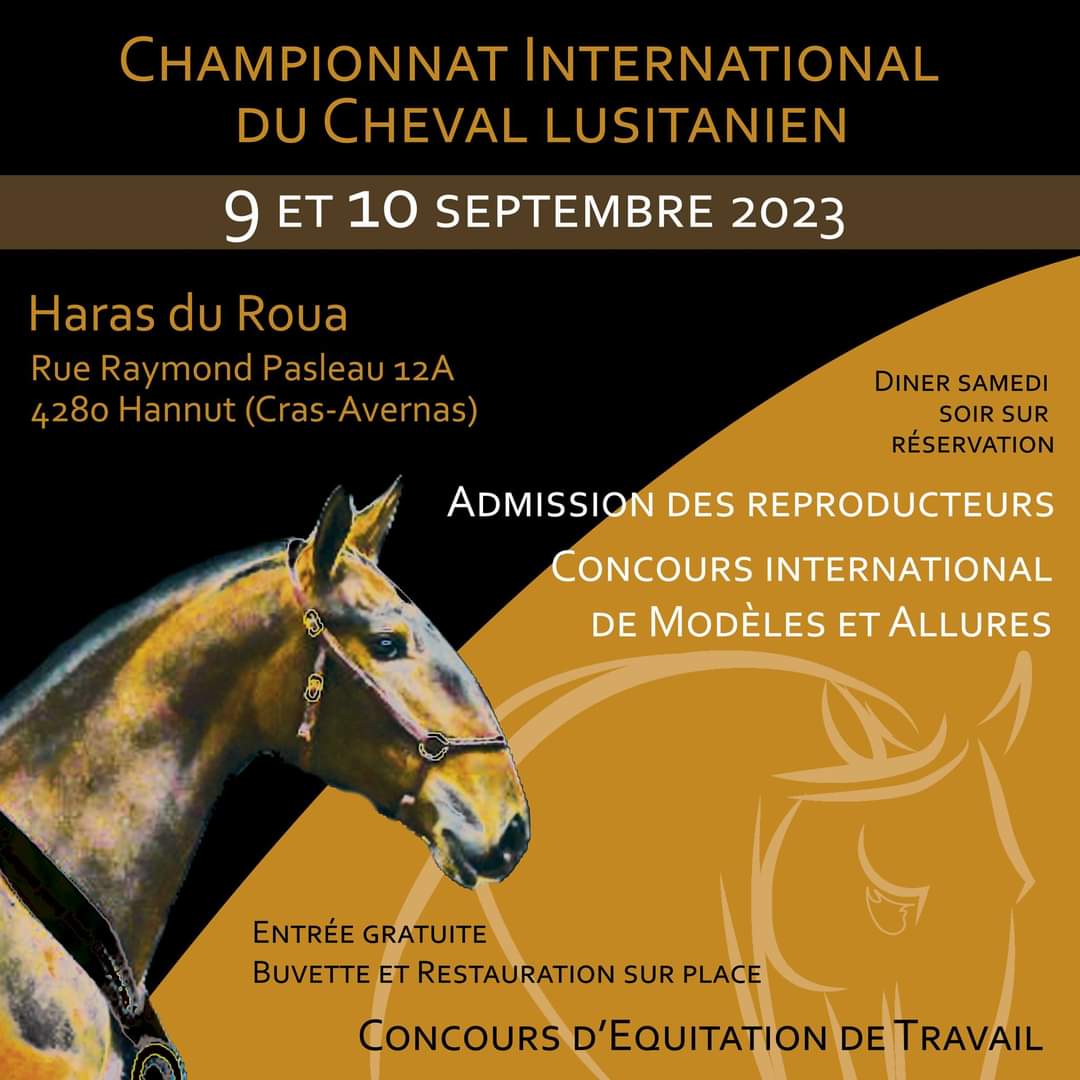 Championnat International du cheval Lusitanien