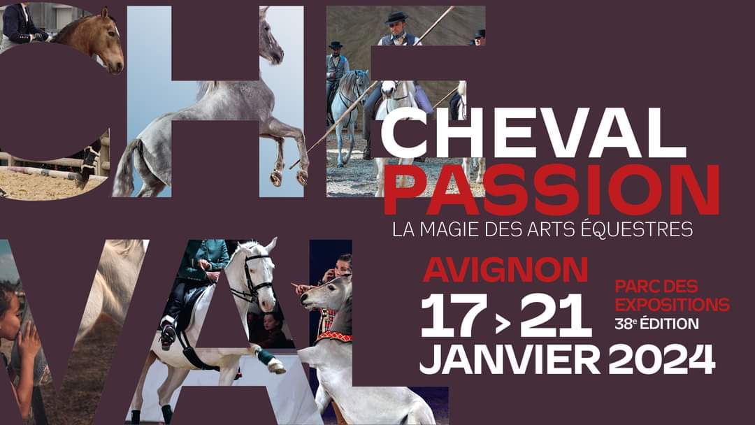 Cheval Passion : La Magie des Arts Equestres