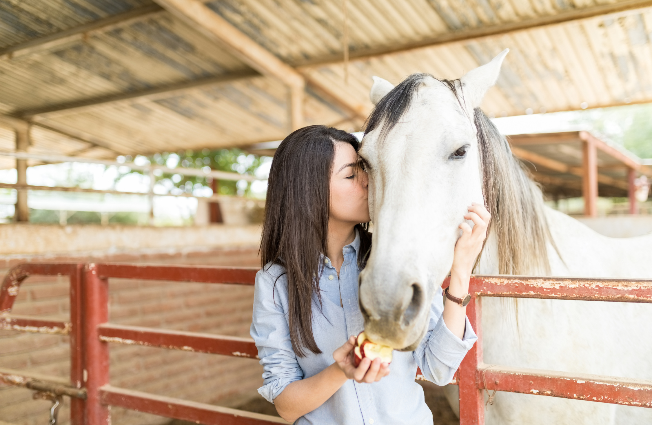 Équithérapie : l’impact des chevaux sur la culture et la santé
