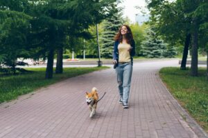 L’importance de la balade quotidienne du chien