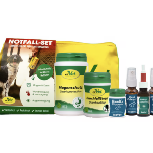 Kit d'urgence pour les déplacements