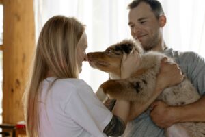 Quelle race de chien choisir pour une famille ?