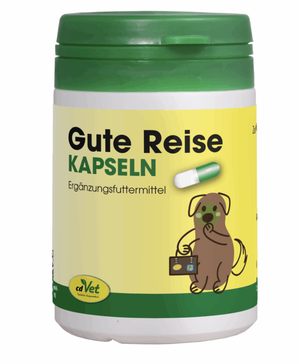 Gute Reise