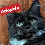 Adoptée-20