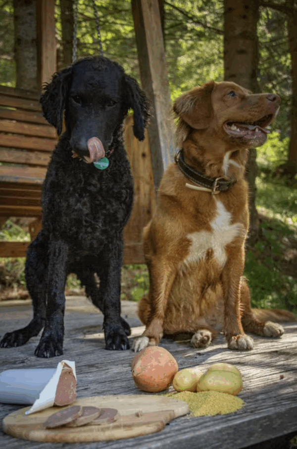 PERRO Rouleau de délices No.1 Bœuf & Pomme de terre – Image 4