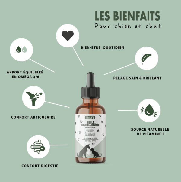 Recharge 100 ml huile de chanvre saveur bœuf pour animaux – Image 6