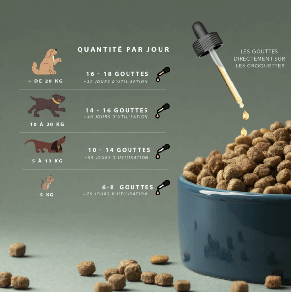 Recharge 100 ml huile de chanvre saveur bœuf pour animaux – Image 11