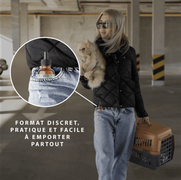 Recharge 100 ml huile de chanvre saveur bœuf pour animaux – Image 10