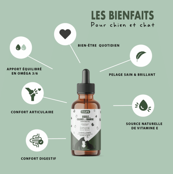 Huile de graines de chanvre poulet – Vitalité & bien-être animal – Image 2