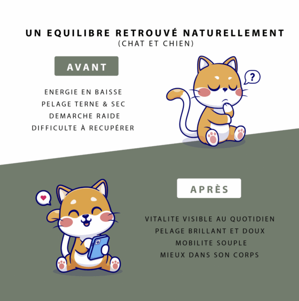 Huile de graines de chanvre poulet – Vitalité & bien-être animal – Image 3