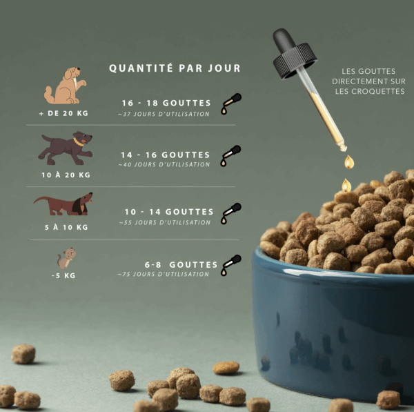 Huile de graines de chanvre poulet – Vitalité & bien-être animal – Image 4