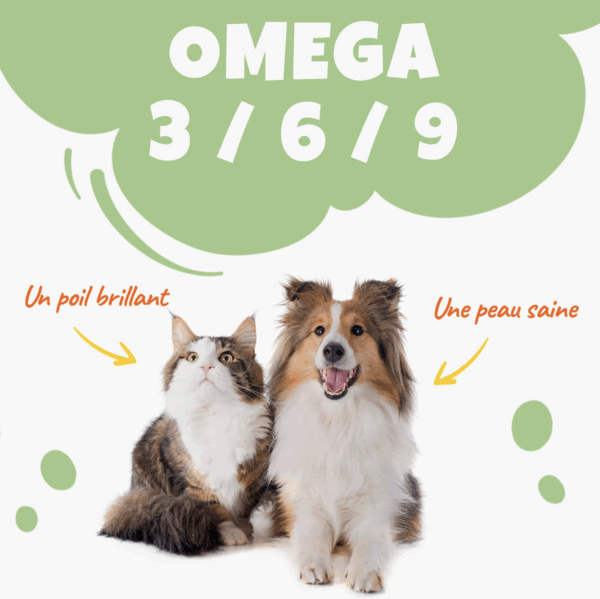 Pack Duo Huile de Chanvre : Composez vous-même votre pack de 2 articles ! – Image 2