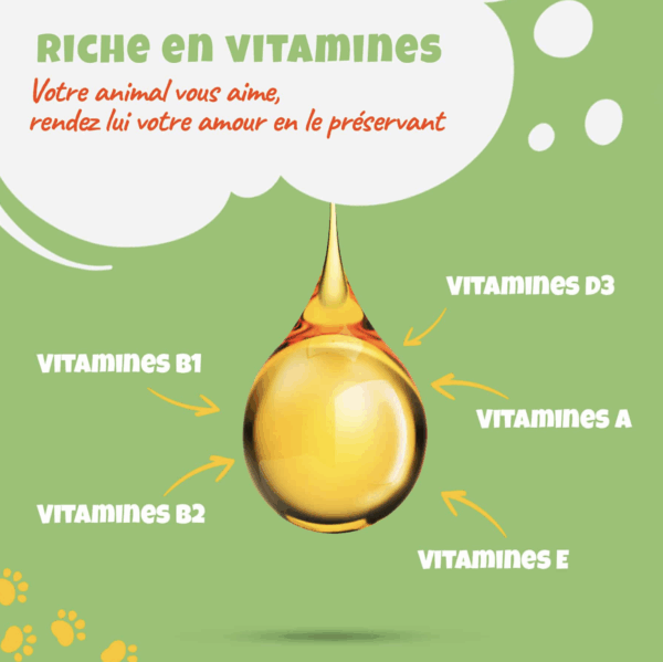 Pack Duo Huile de Chanvre : Composez vous-même votre pack de 2 articles ! – Image 3