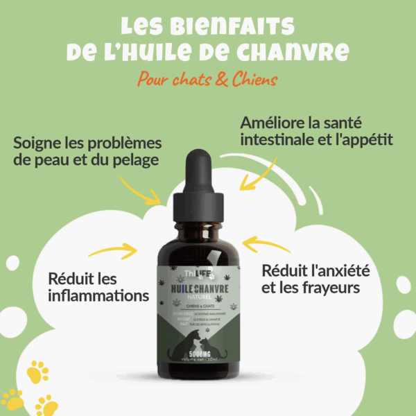 Pack Duo Huile de Chanvre : Composez vous-même votre pack de 2 articles ! – Image 4