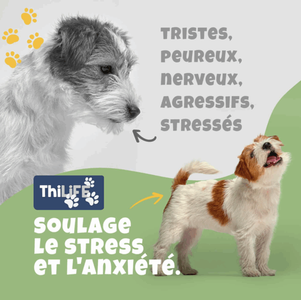 Pack Duo Huile de Chanvre : Composez vous-même votre pack de 2 articles ! – Image 6