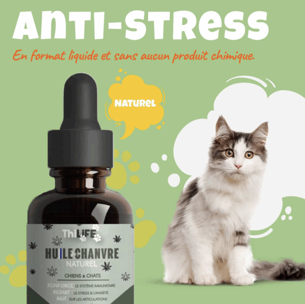 Pack Duo Huile de Chanvre : Composez vous-même votre pack de 2 articles ! – Image 7