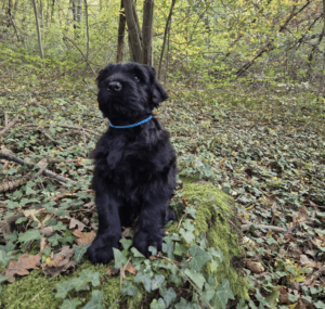 Capture d’écran 2025-10-28 à 20.41.59