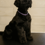 Capture d’écran 2025-11-01 à 14.49.40