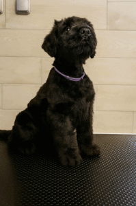 Capture d’écran 2025-11-01 à 14.49.40