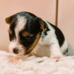 FB_IMG_1761654977255