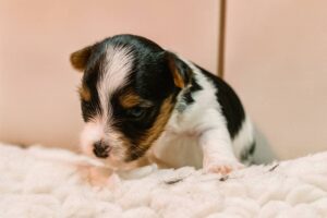 FB_IMG_1761654977255