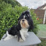 a19838aa-ab2c-4e25-a548-b7e67596fe7e