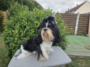 a19838aa-ab2c-4e25-a548-b7e67596fe7e