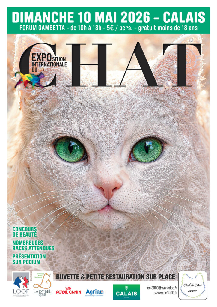 Exposition Internationale du Chat