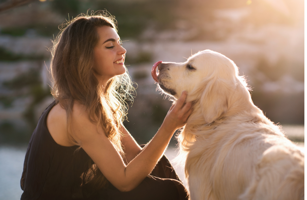 Quelle race de chien pour moi
