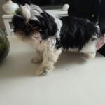 PHOTO-2026-02-16-19-04-48 2