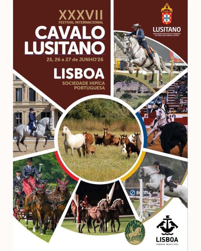 Festival Internacional Cavalo Lusitano