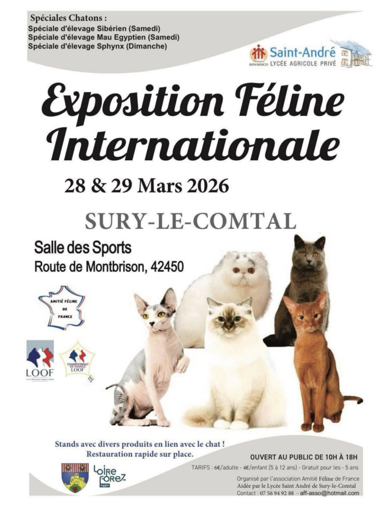 Exposition Féline Internationale Sury-Le-Comtal