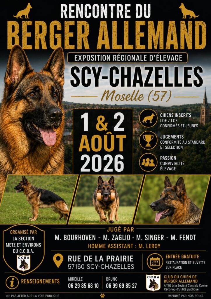 Rencontre du Berger Allemand à Scy-Chazelles