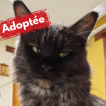 Adoptée-23