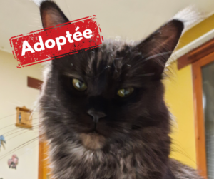 Adoptée-23