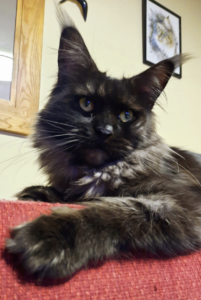 Capture d’écran 2026-04-14 à 21.13.44