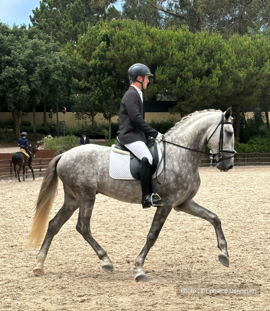 Cheval des rois