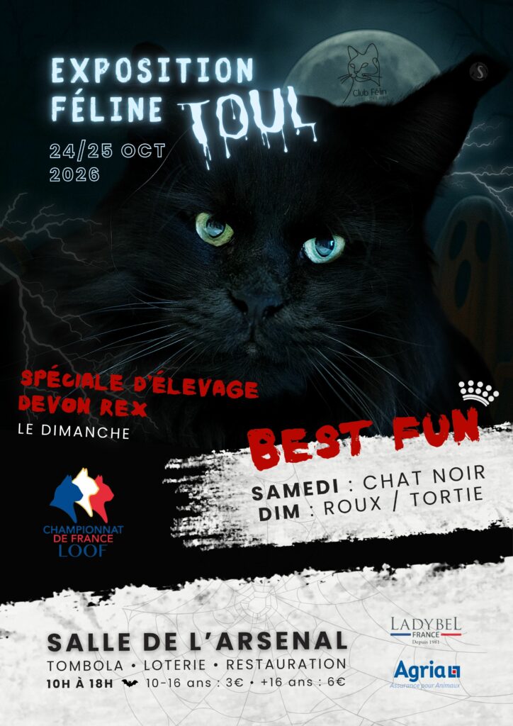 Spéciale d'élevage du Devon Rex