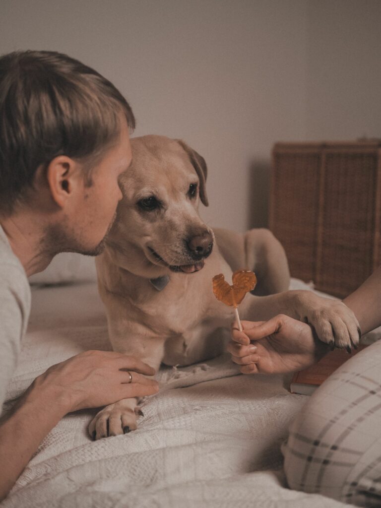 Divorce et séparation avec un animal